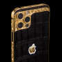 CLASSIC ORNATE ARISTOCRATE