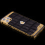 CLASSIC ORNATE ARISTOCRATE