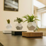 Левитирующий вазон «FLYTE Planter», черный