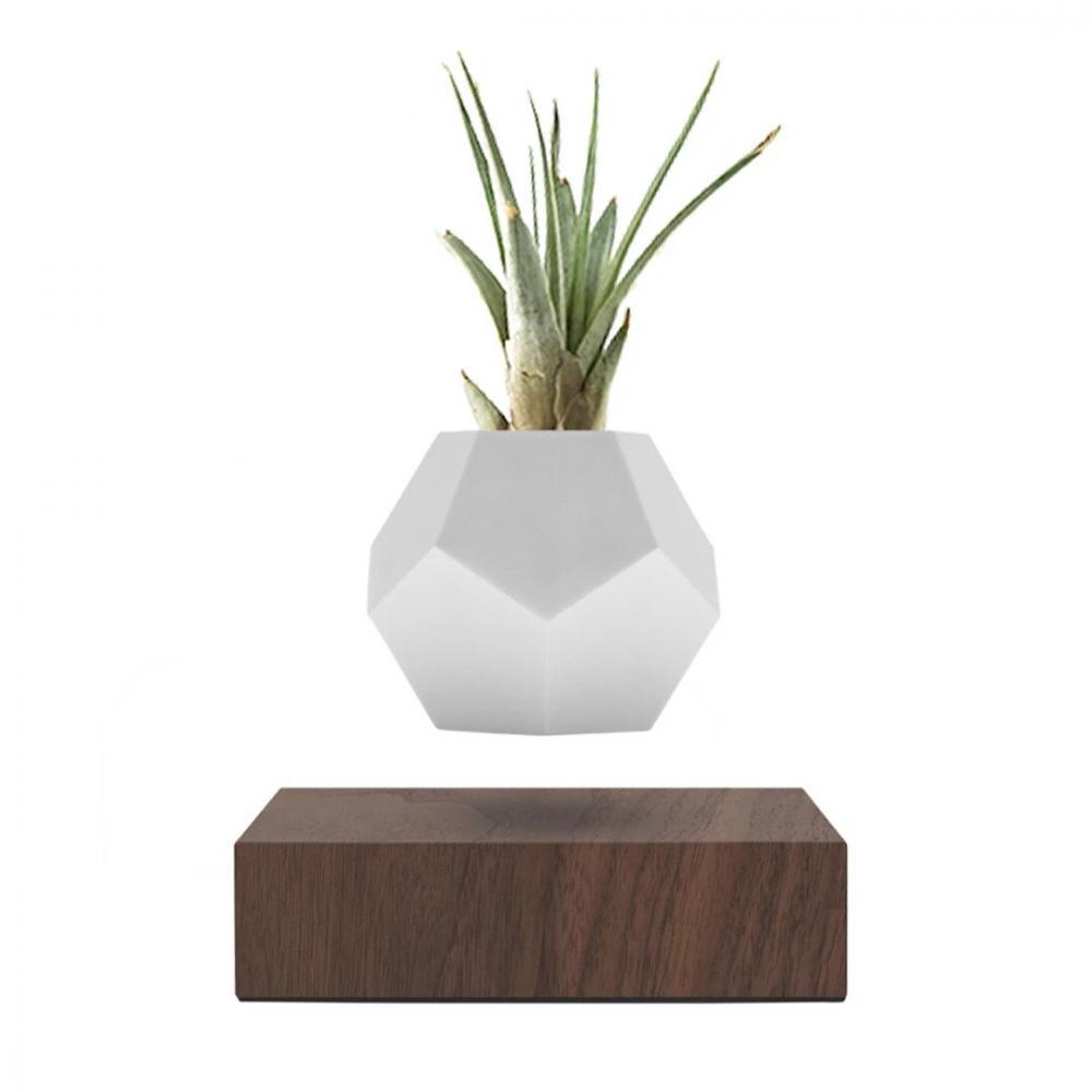 Левитирующий вазон "FLYTE Planter", орех Левитирующий вазон "FLYTE Planter", орех
