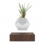 Левитирующий вазон "FLYTE Planter", орех Левитирующий вазон "FLYTE Planter", орех