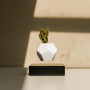 Левитирующий вазон "FLYTE Planter", орех Левитирующий вазон "FLYTE Planter", орех